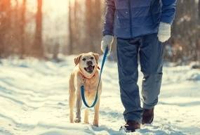 Тренування без зайвих зусиль: 15 простих варіантів фізичних навантажень