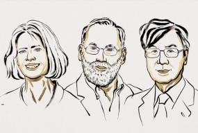 Нобелівська премія з медицини 2025: відкриття, що може змінити підхід до автоімунних хвороб