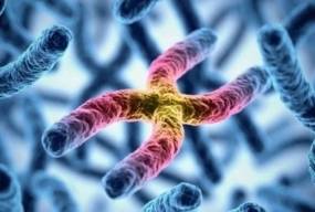 Генетика діабету: як Ужгород став центром генетичних досліджень цукрового діабету 1 типу